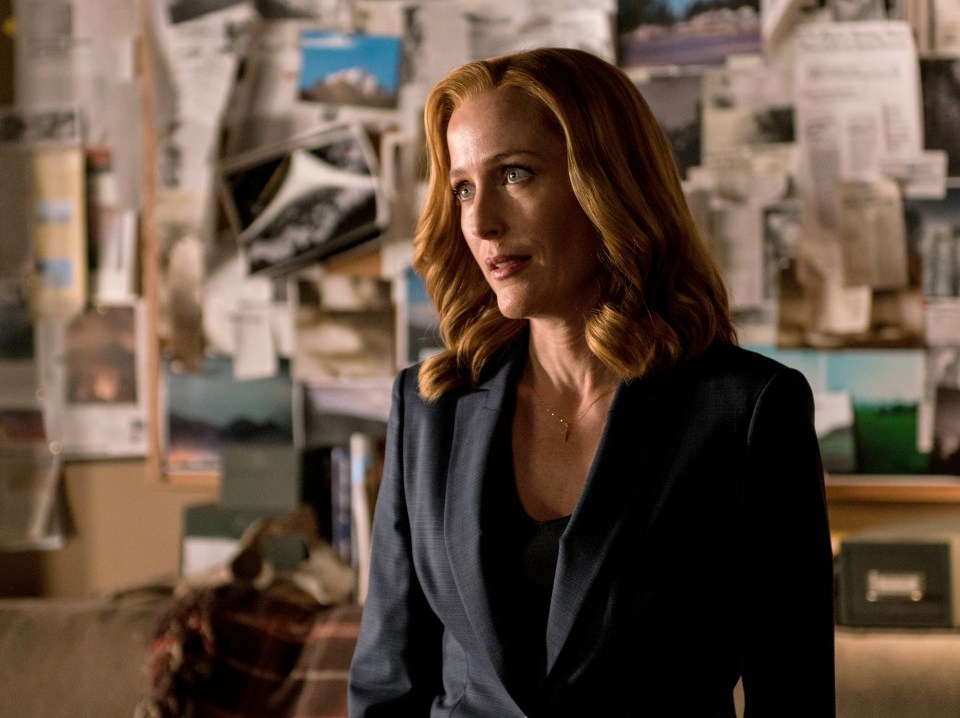 Gillian played Dana Scully in the supernatural series