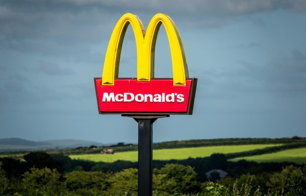 a mcdonald 's sign in front of a green field