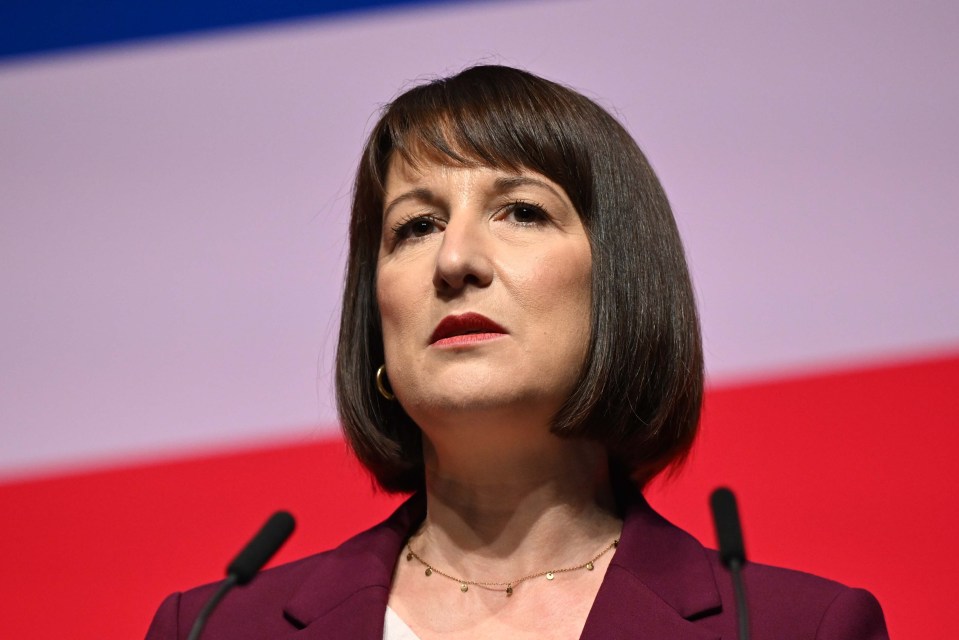 a woman in a purple jacket stands in front of two microphones