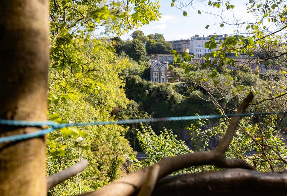 a house on a hill with a blue rope between two trees