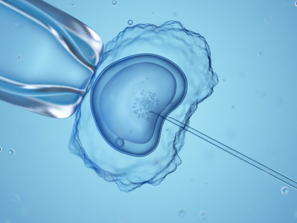 Sperm and egg donation can only be a gesture of goodwill in the UK, not a money-making exercise