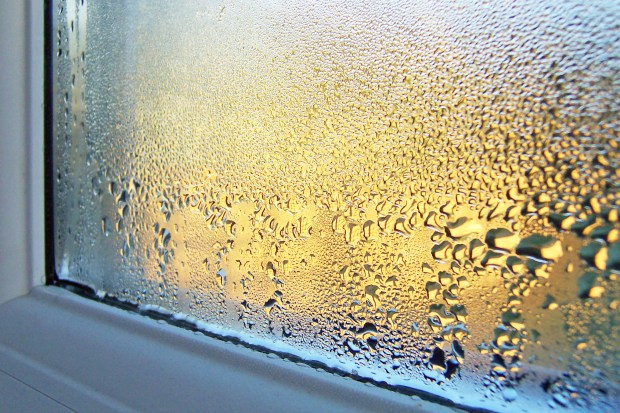 a window with a lot of water drops on it