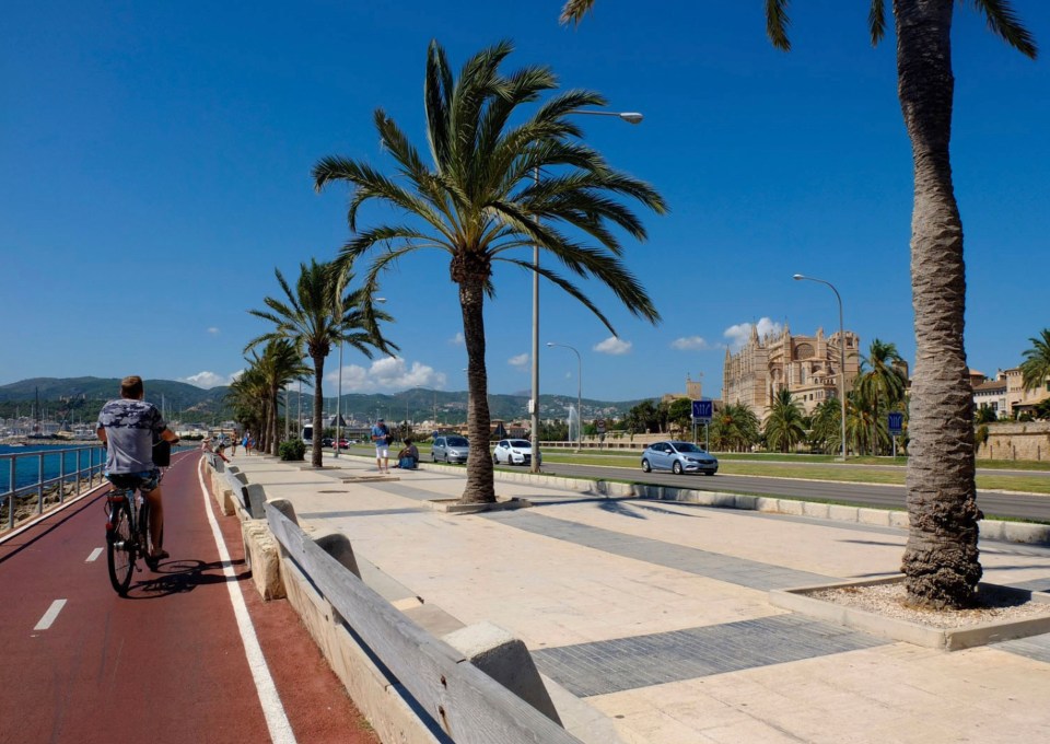 a man riding a bike on a sidewalk with palm trees in the background