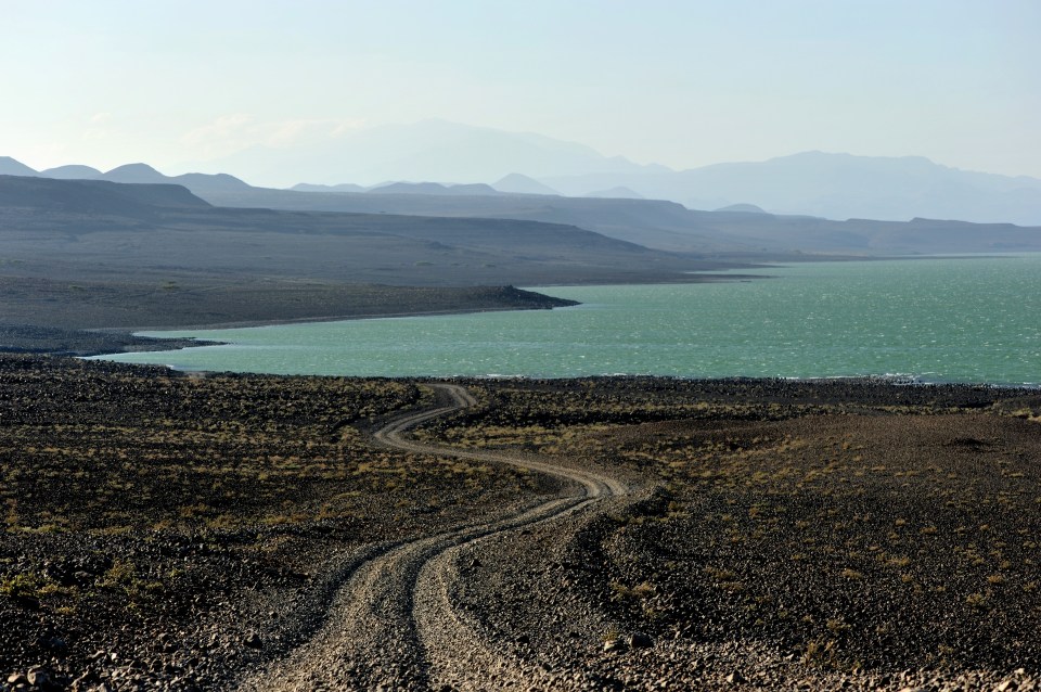 The tracks found on Lake Turkana in Kenya belong to the species Homo erectus and Paranthropus boisei, according to researchers