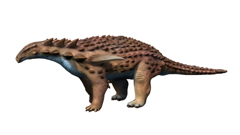 Scientists have studied the 'best' preserved fossils of a nodosaur ever found