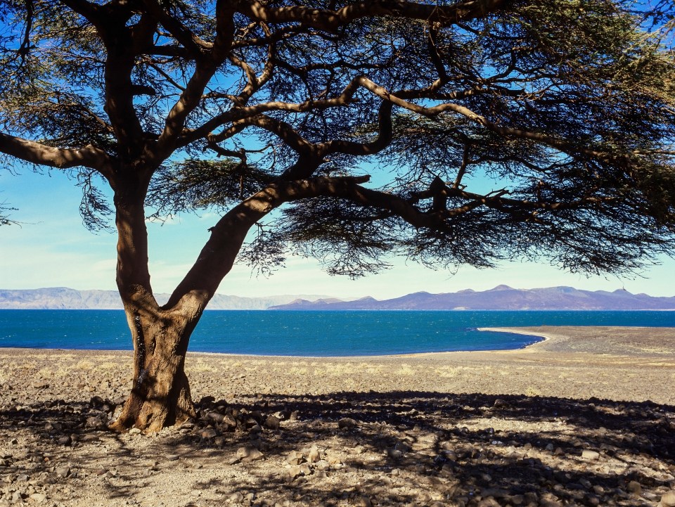 Lake Turkana is located in northwestern Kenya