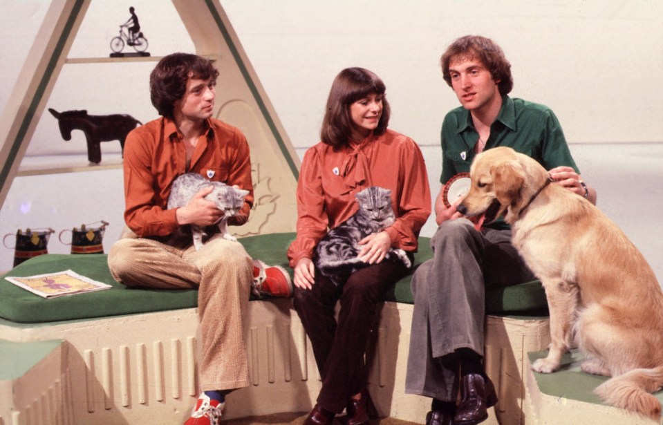 a group of people sitting on a ledge with a dog and two cats