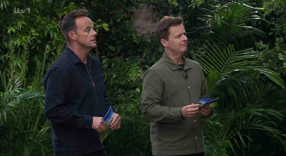 They suggested ITV hosts Ant McPartlin and Declan Donnelly were 'angry' the DJ quit the task early