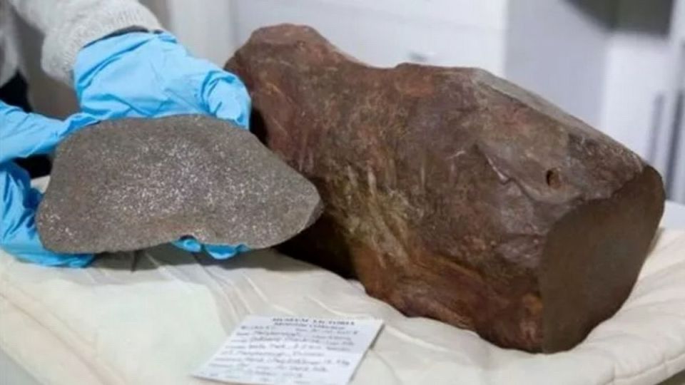 The rock (left) turned out to be a meteorite from outer space