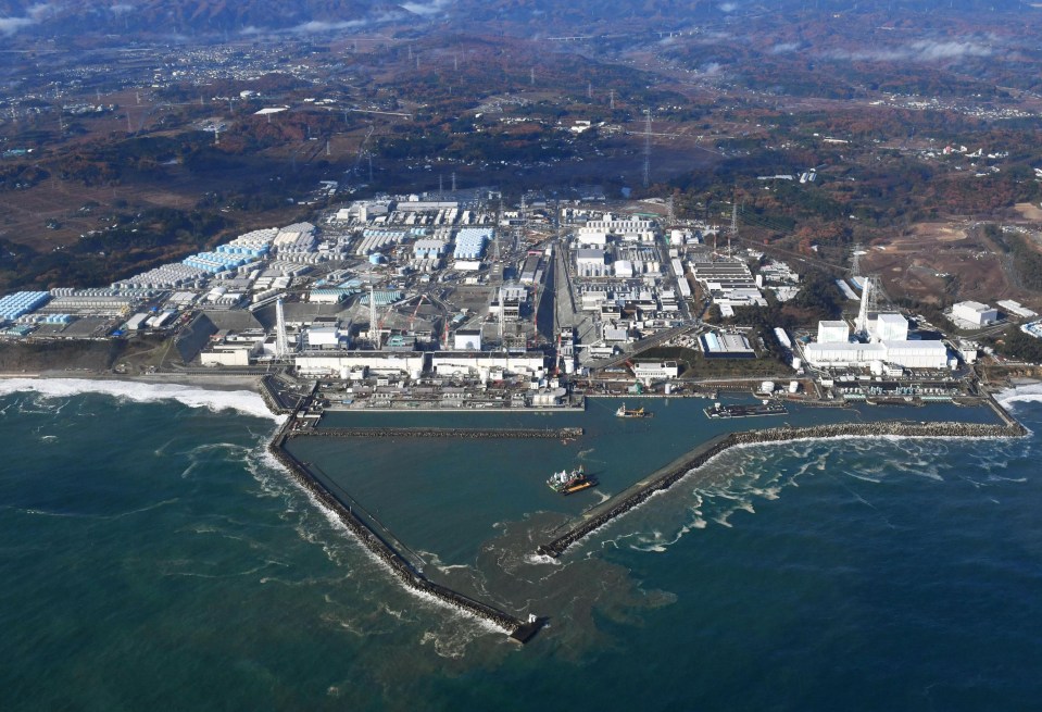 The Fukushima nuclear plant was hit by a tsunami, causing the disaster