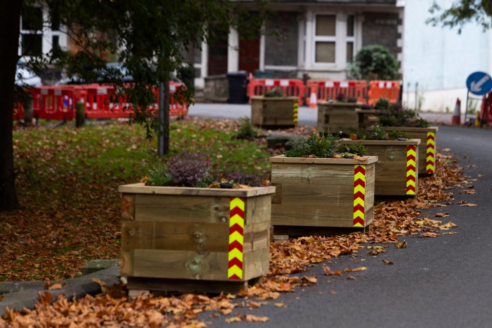 The planters installed by the local council along with a local business