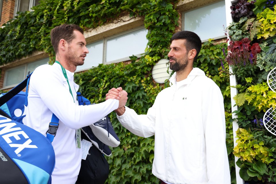 Novak Djokovic has appointed Andy Murray as his coach for the Australian Open