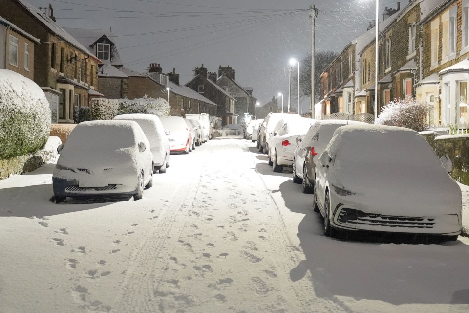 a row of snow covered cars are parked on a snowy street