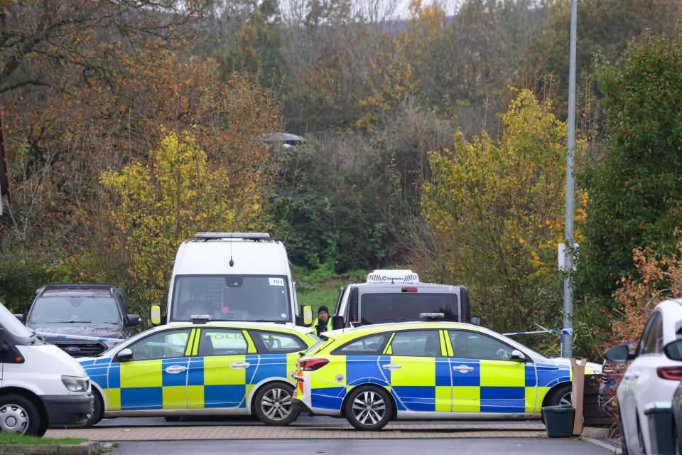 several police cars are parked on the side of the road