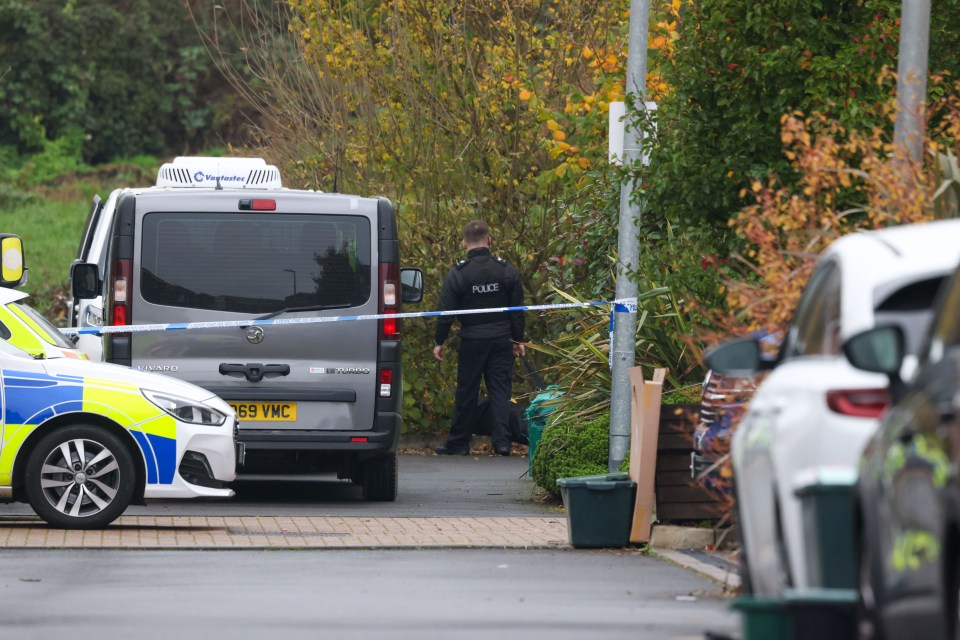 a man in a police uniform stands in front of a van