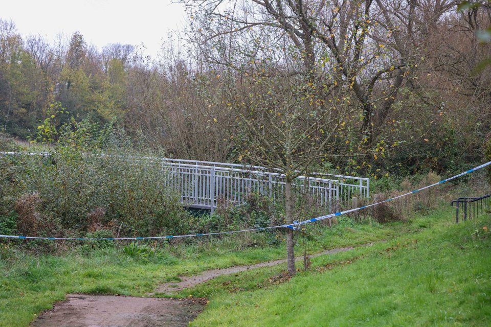 a bridge is surrounded by a blue and white tape