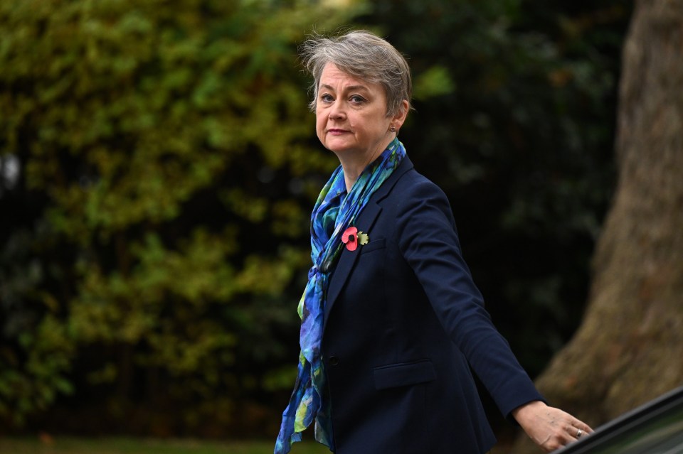 a woman wearing a scarf with a poppy on it