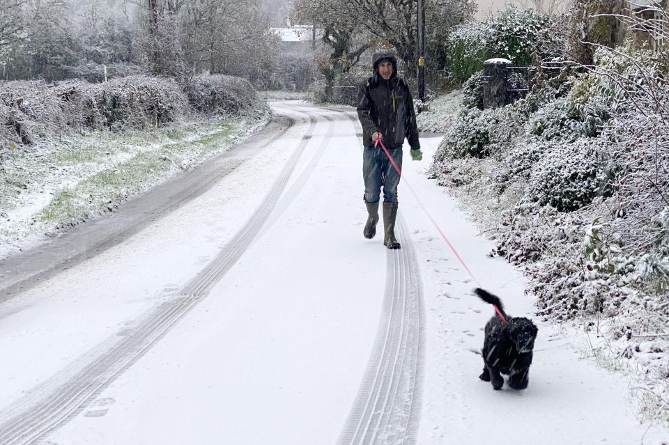 a man walking a dog on a snowy road