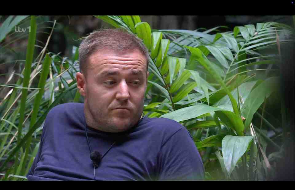 Alan Halsall opened up about his divorce from Lucy-Jo Hudson during last night's I'm A Celebrity