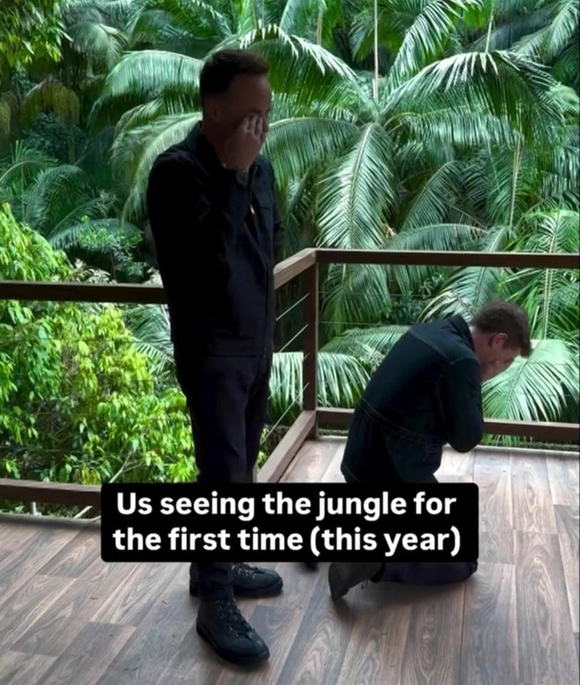 two men standing on a balcony with the caption us seeing the jungle for the first time this year