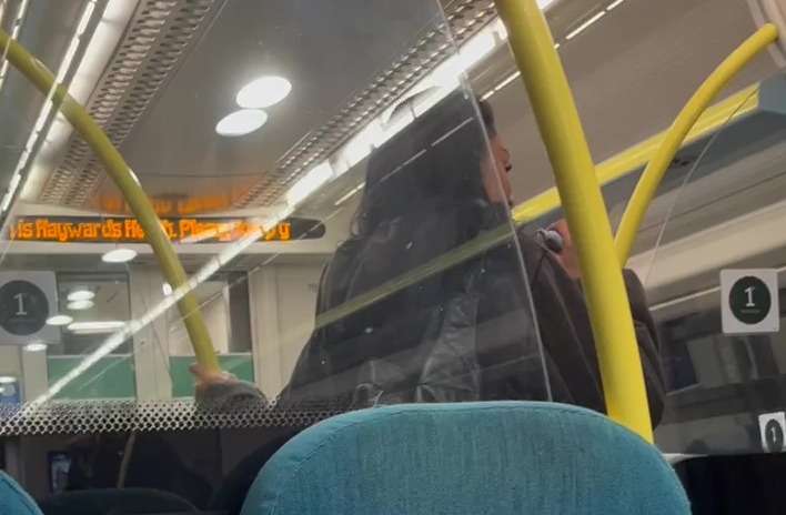 Katie Price was spotted vaping on a train