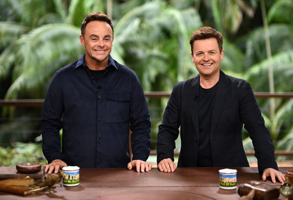 I'm A Celebrity - hosted by Ant and Dec - is back on November 14