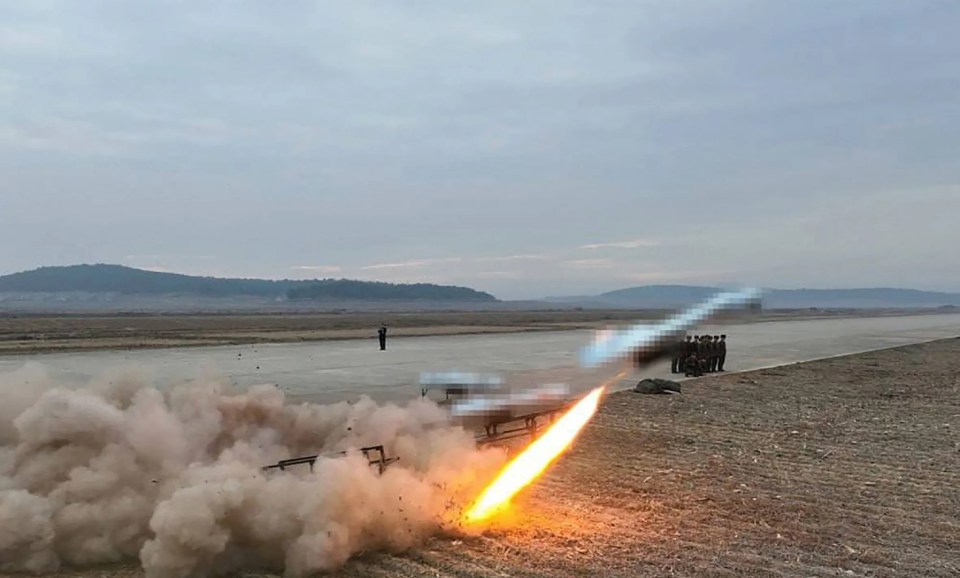 Kim has ordered the mass produced of the attack drones 'as soon as possible'