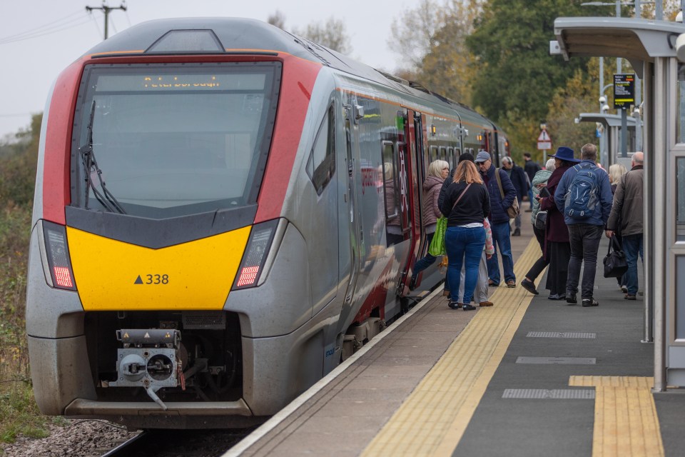 the number 336 is on the front of a train