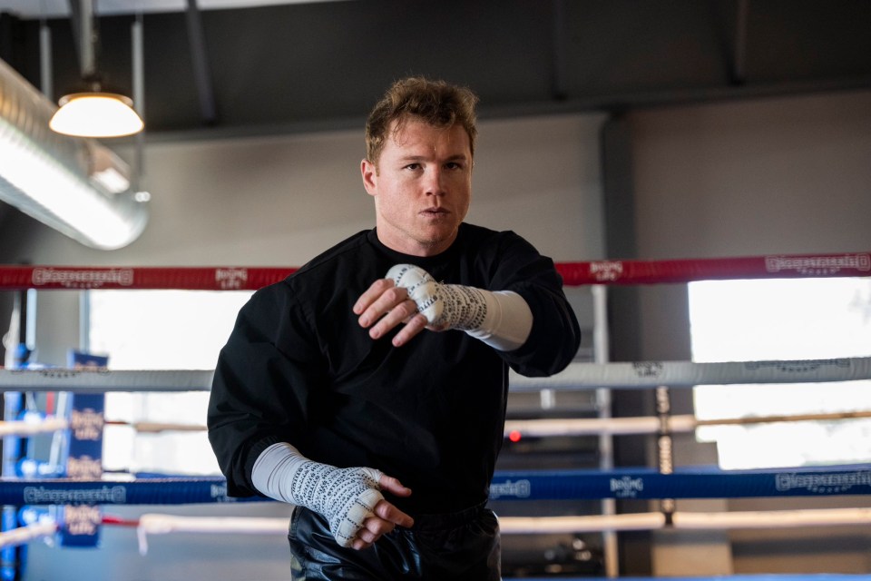 Canelo Alvarez has been called out by Jake Paul