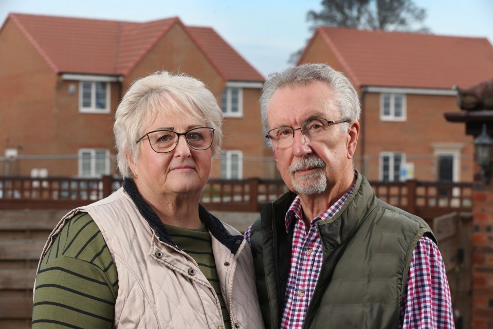 Lynda and Stephen Winston have had their house ruined by a neighbouring construction site