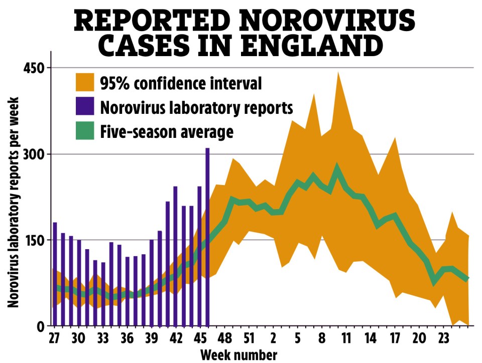 Norovirus surged by 31% in two weeks leading up to November 17 (week 46 on chart)