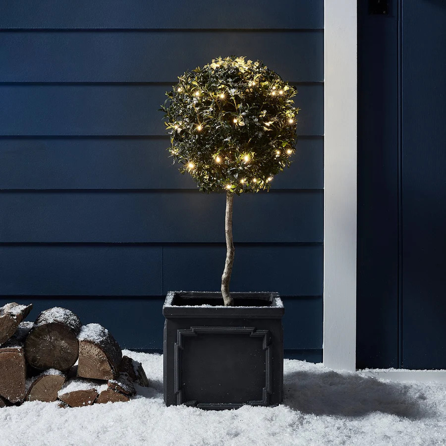 a small tree in a planter with lights on it