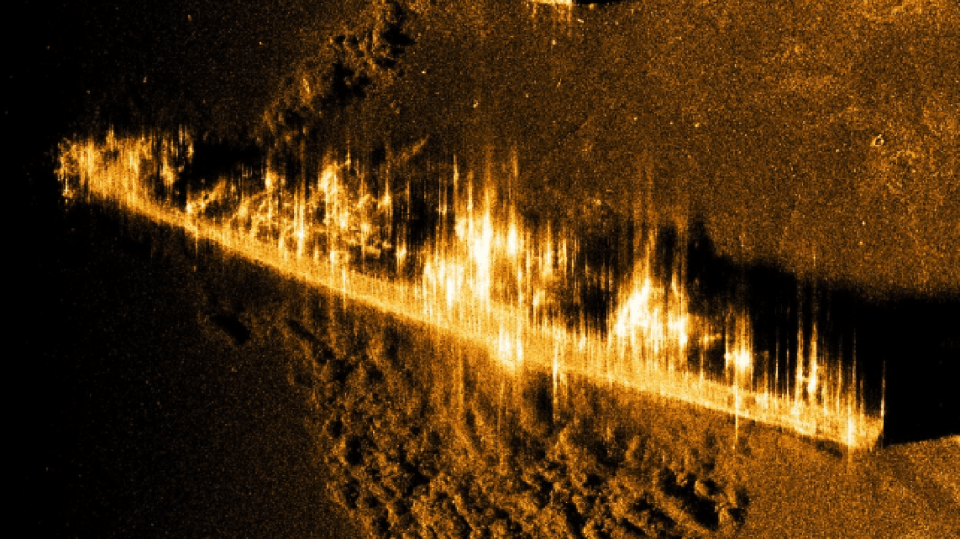 A sonar image of the wreckage in the Indian Ocean