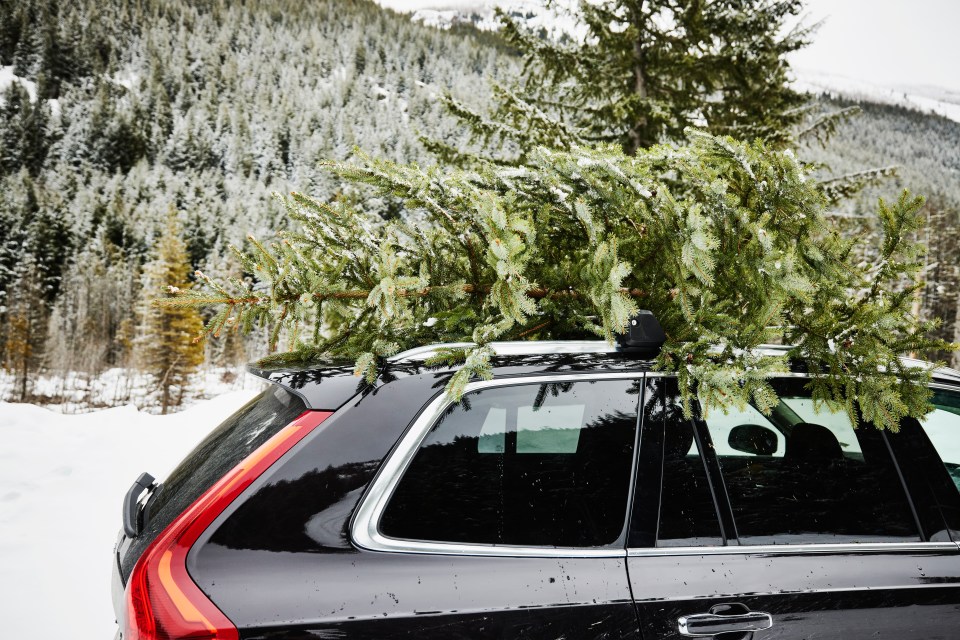 Drivers have been warned they could be hit with a £5,000 for carrying a Christmas tree this year