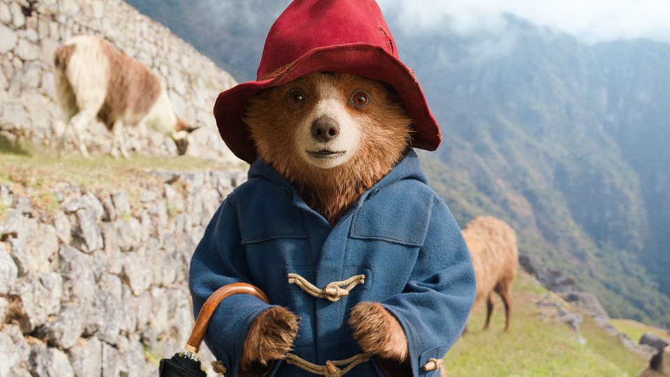 In Paddington in Peru, the famous bear returns to his homeland