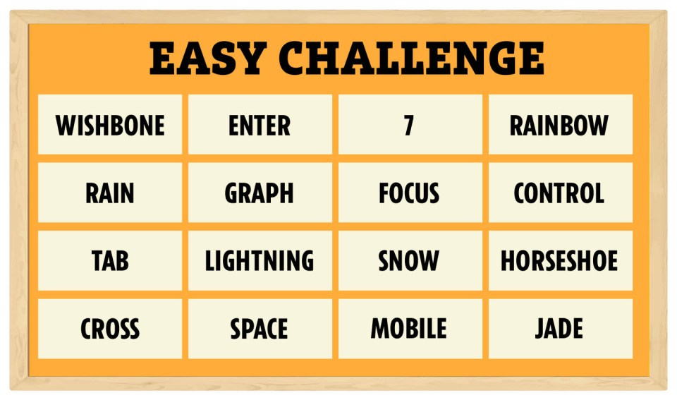 10-year-old Krish's 'easy' Only Connect challenge is a difficult one to crack