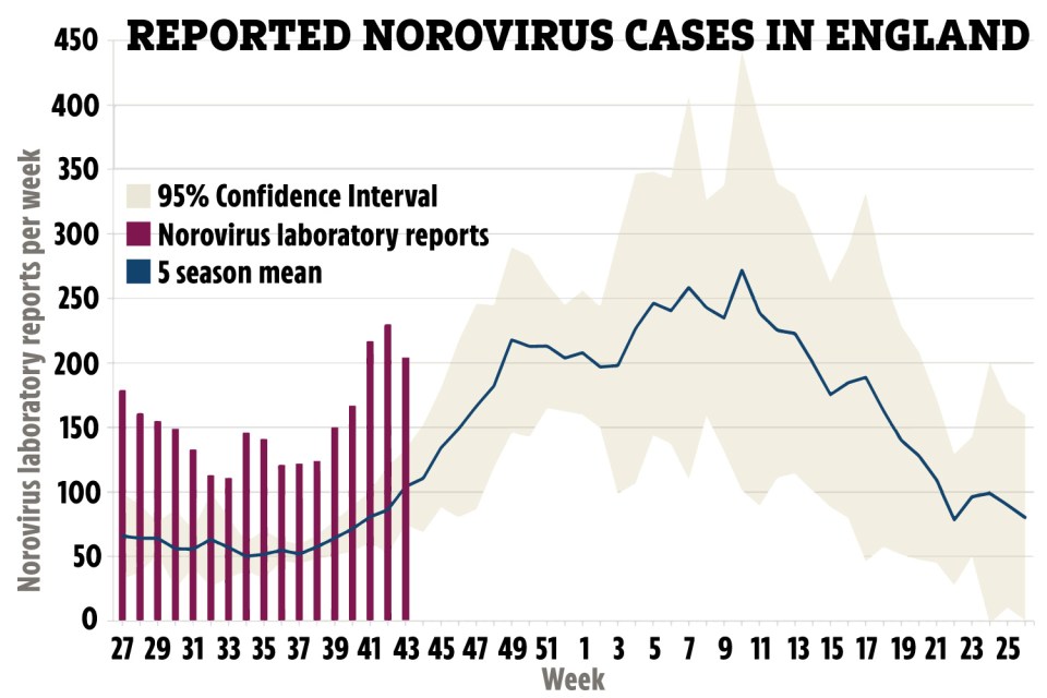 Rates of norovirus, also called the 'winter vomiting bug' are up by a fifth in a fortnight