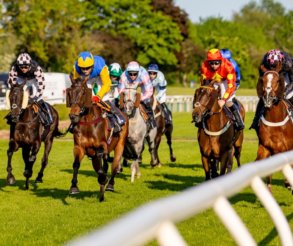 Access more than 500 race days across 16 racecourses.