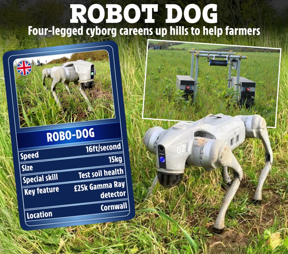 Ellie the Robot Dog can move at a high speed of 16ft per second and weighs 15kg