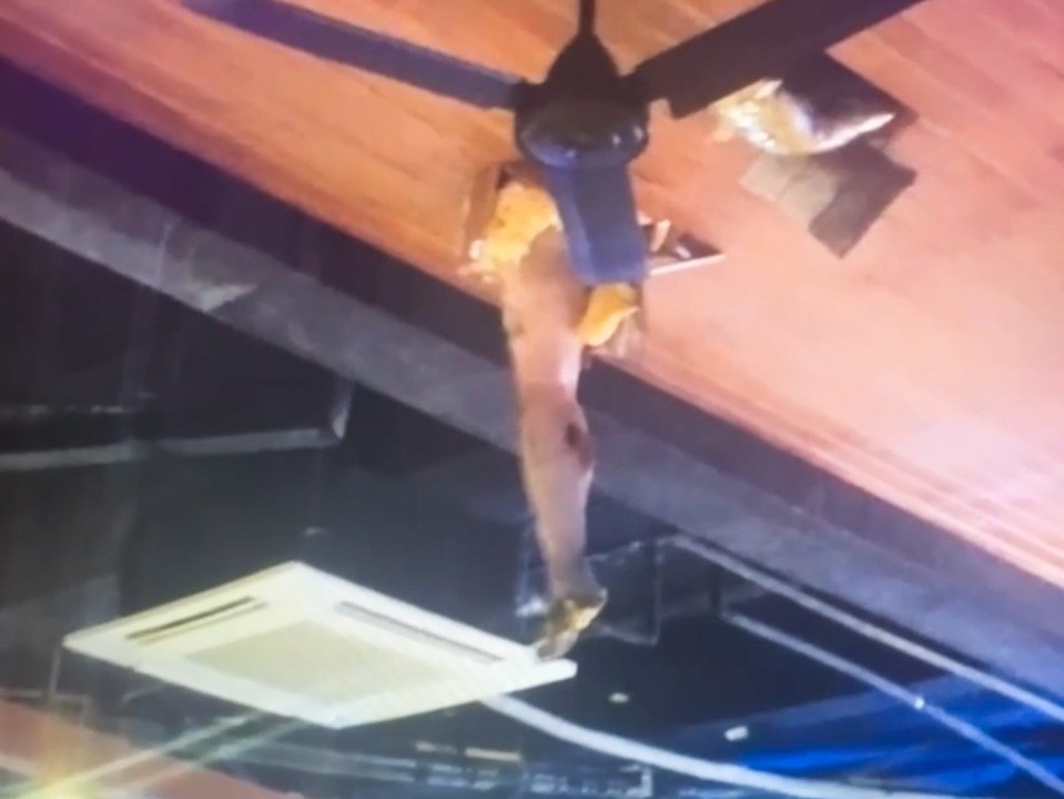 The man's legs were seen dangling from the roof of an internet cafe in Pattaya