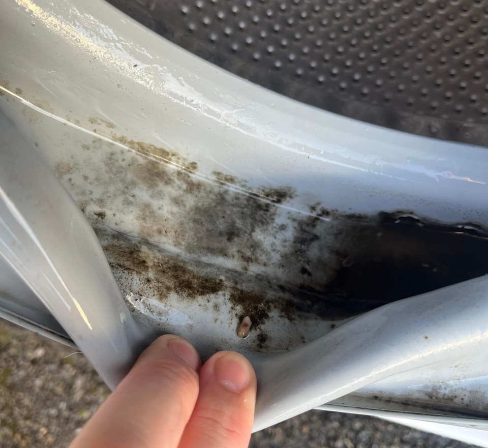 One fan of Mrs Hinch took to Facebook to seek help after noticing grim mould in the washing machine