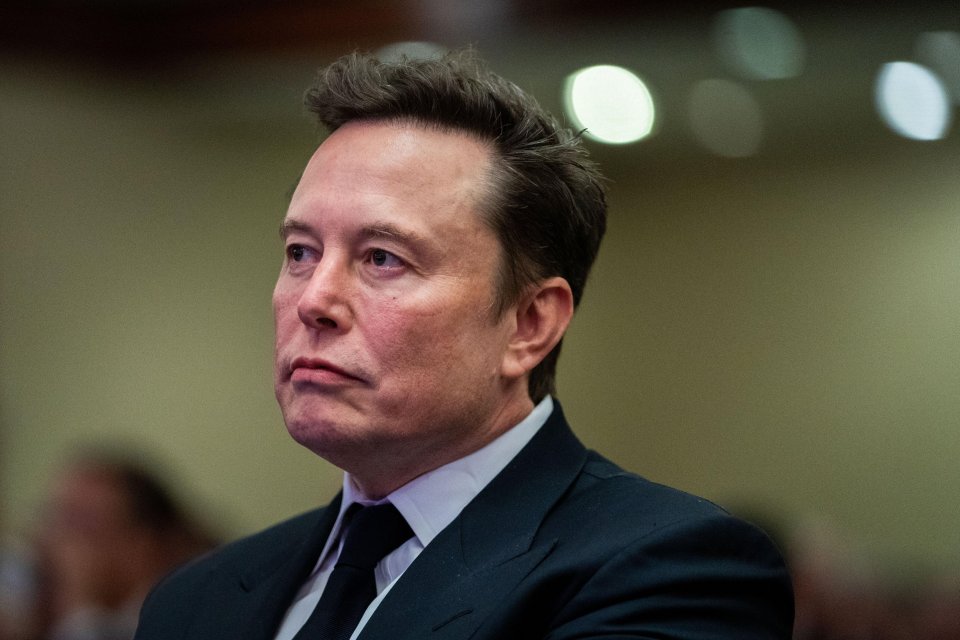 Tech mogul Elon Musk shared a post claiming that the petition had broken a record