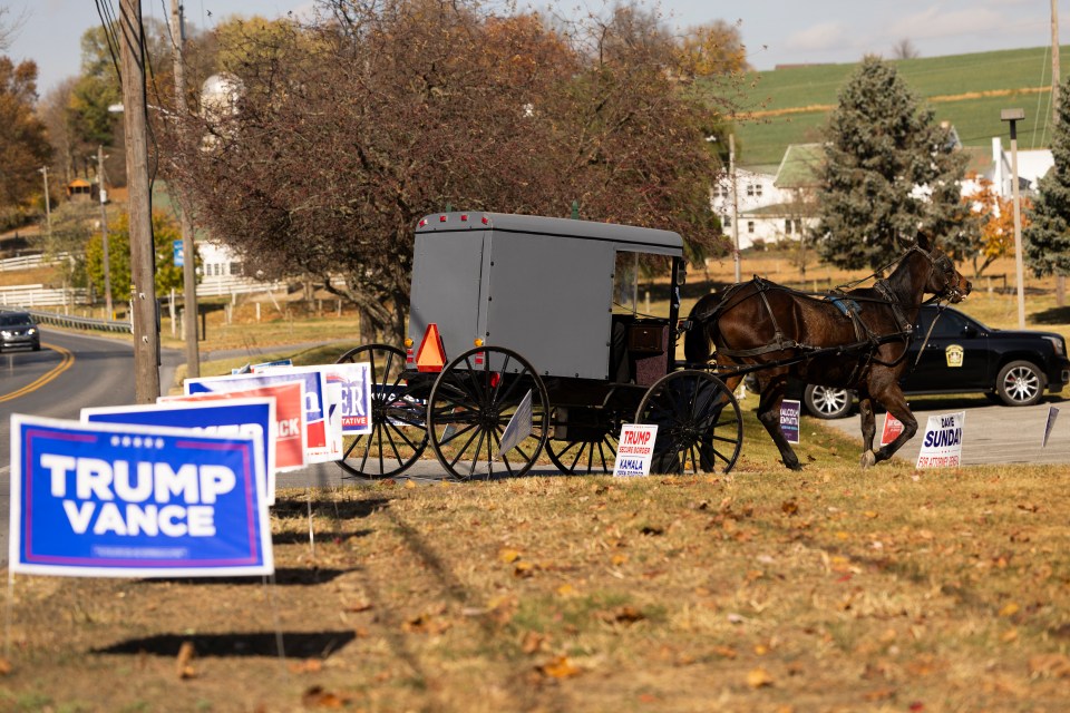 An Amish horse and buggy makes its way toward a polling location in Intercourse, Pennsylvania