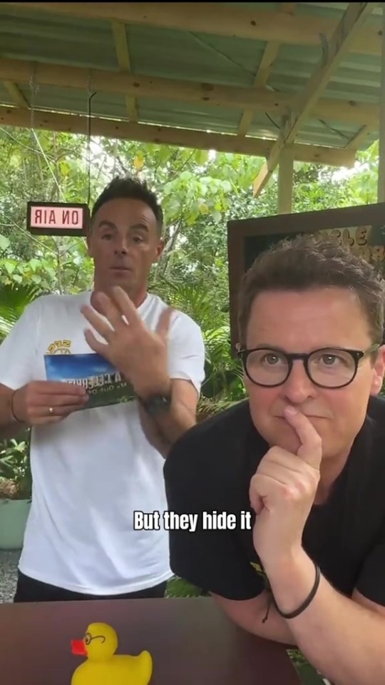 Ant and Dec answer fan’s questions live on their TikTok account