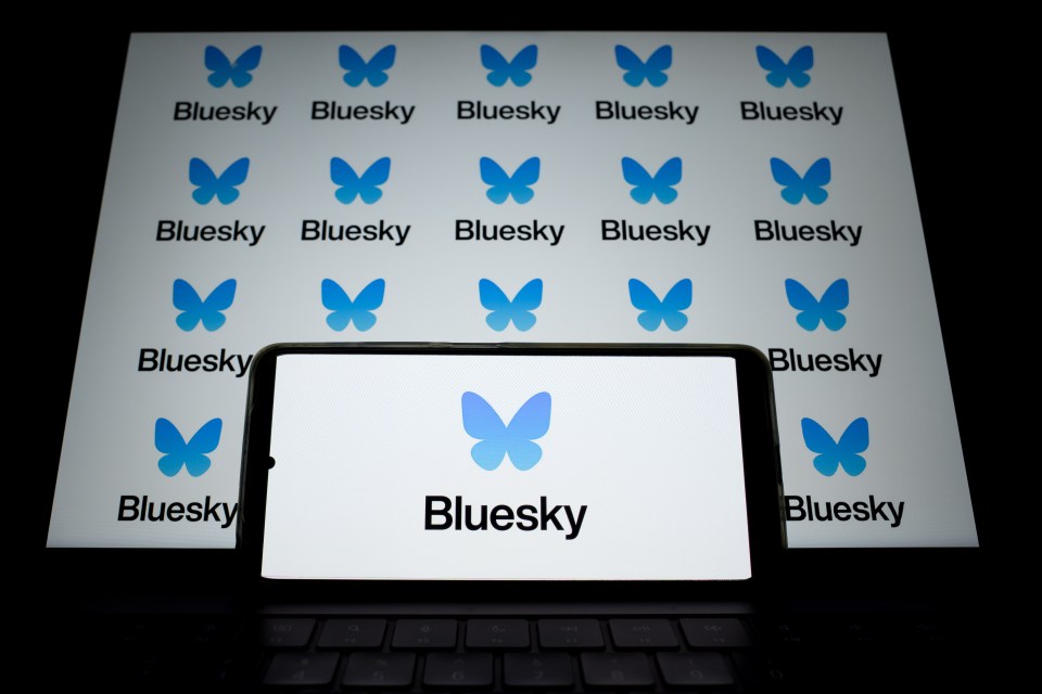 Bluesky is latest social media platform to take the world by storm