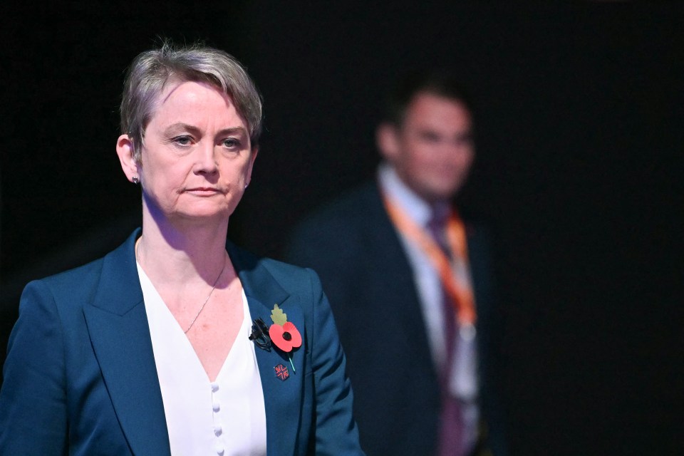 a woman in a blue suit has a poppy pin on her jacket