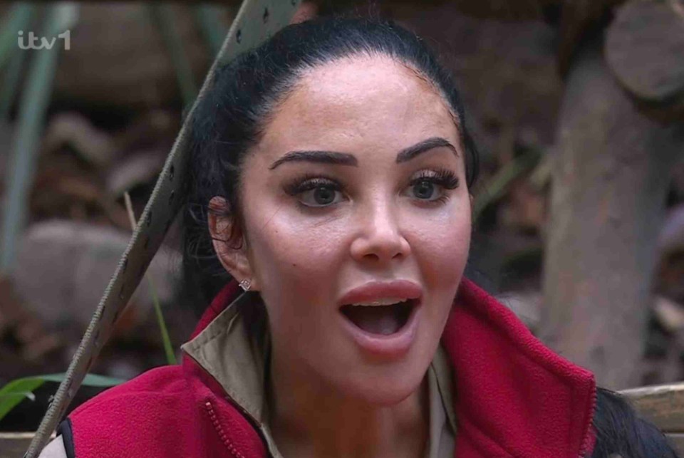 I’m A Celeb fans have all said the same thing about Tulisa and another camp mate