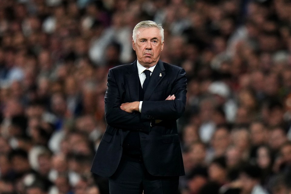 Real Madrid chiefs have decided who they want to replace Carlo Ancelotti permanently