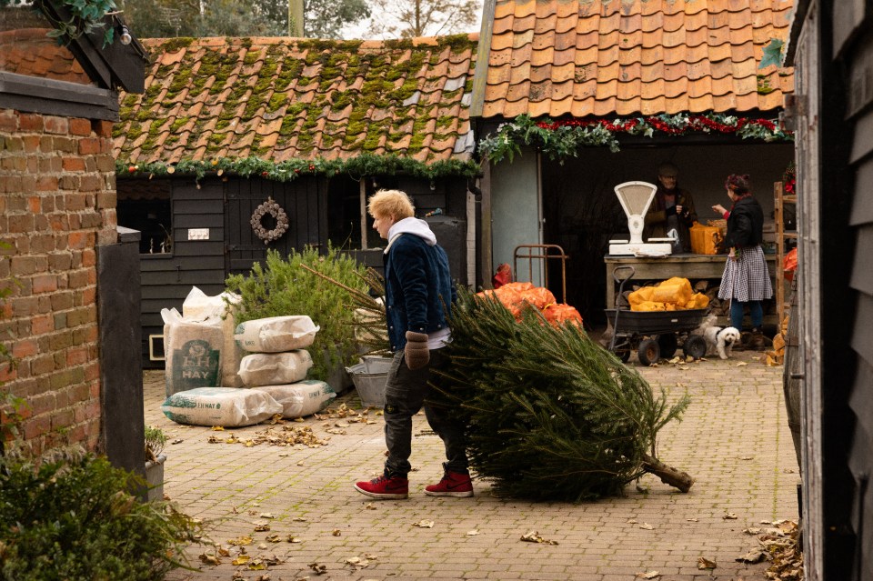 Ed dragging a tree in the video