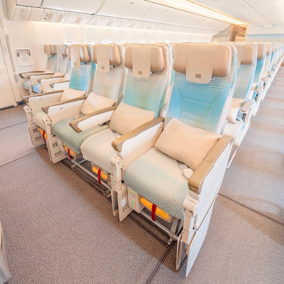 Economy seats will be roomier too